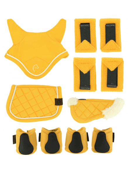 Juego de miniaccesorios PONY ACADEMY