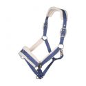 Arezzo Halter Lauria Garrelli