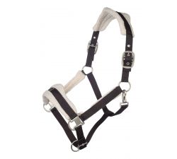 Arezzo Halter Lauria Garrelli