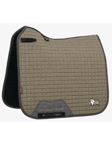 Dressurmatte Earth LeMieux