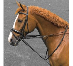 Enrênement Thiedeman Imperial-Riding