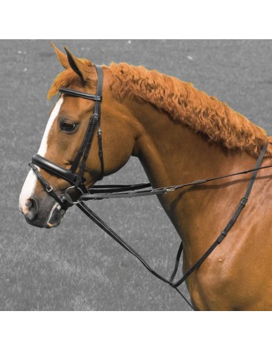Enrênement Thiedeman Imperial-Riding