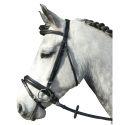 Bridon cuir IRide Imperail-Riding