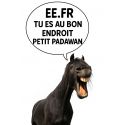 Etrille cheval PVC adultes IRH