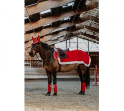 Fundas de riñón EQUITHÈME - Xmas Noel