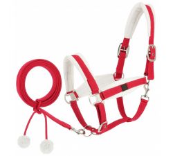 Licol + longe EQUITHÈME - Xmas Noël