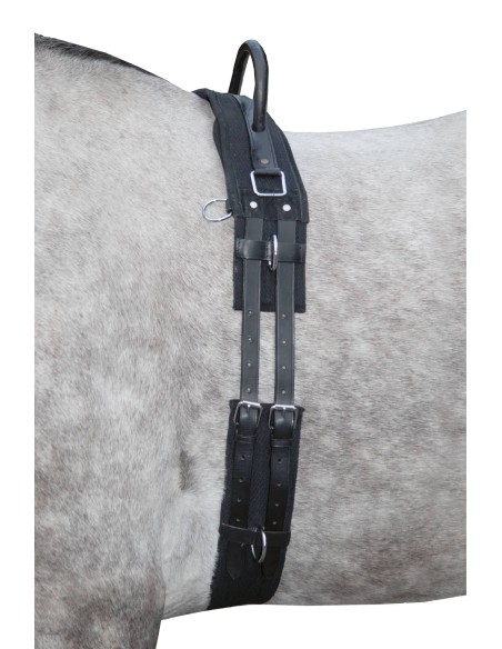 Surfaix Canvas mit Griff HKM - Longierarbeit/Voltigieren | Reitsport-Esprit