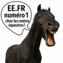 Lote de 20 peines GM de metal para crines de caballo EE