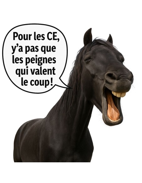 20 Peignes à crins jockey pour crinière cheval PM