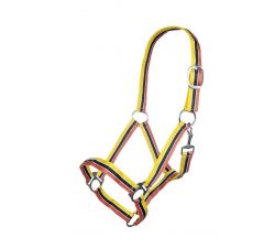 10er-Set HalfterDas Halfter Genf HKM