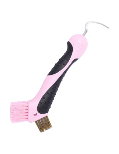 Cure pied brosse métal et douce Scraper