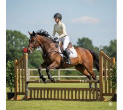 Isabell-Werth Polo de concours Isamine manche longues 