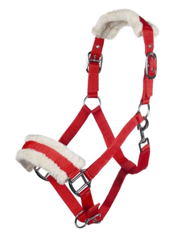 Licol Bischofshofen HKM rembourrage Teddy
