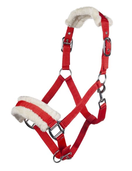 Licol Bischofshofen HKM rembourrage Teddy