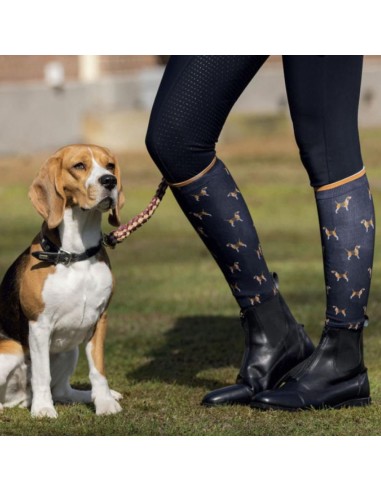 Chaussettes d'équitation HKM Beagle
