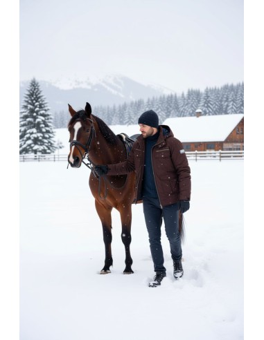 Veste homme Euro Star Marshall