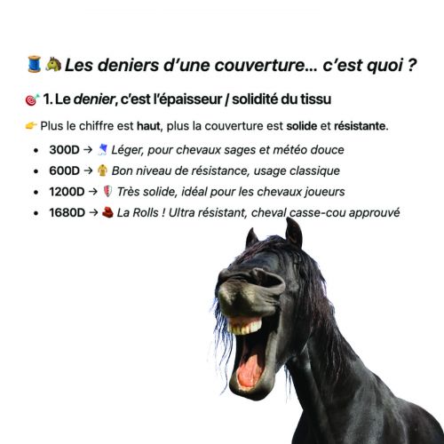 Sport équipement Couverture Séchante -Mini- HKM Thermorégulatrice Cheval