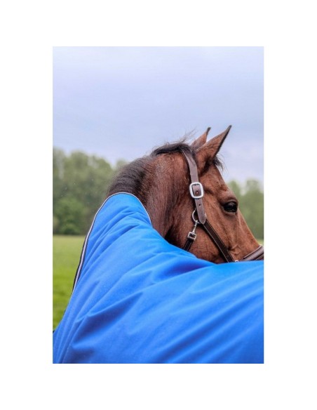 Couverture EQUITHÈME TYREX 1200D "AISANCE" High Neck 0Gr