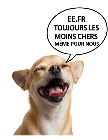 Manteau pour chiens imperméable 600D 100GRS avec trou de laisse DMH
