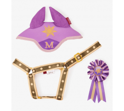 Set Hobby Horse Disney Maximus Lemieux