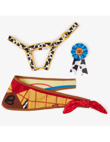Disney Hobby Horse Set Maximus Lemieux
