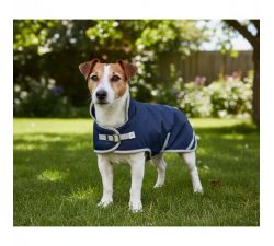Jack Russell IRHAmbient Imperail-Riding-Mantel