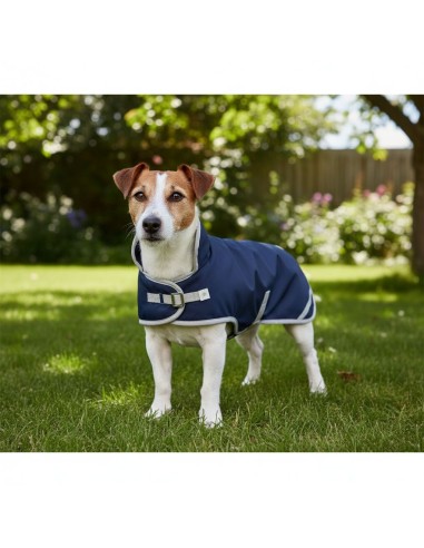 Jack Russell IRHAmbient Imperail-Riding-Mantel
