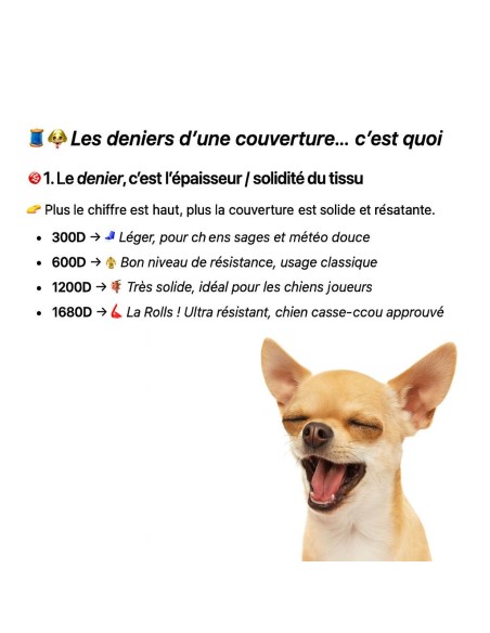 Manteau Jack Russell IRHAmbient Imperail-Riding