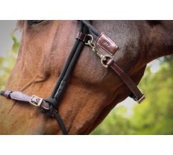 Licol PENELOPE Éthologique