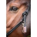 Licol PENELOPE Éthologique