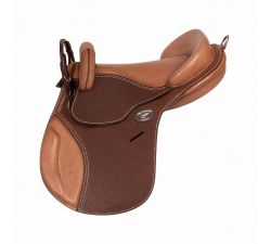 Selle bardette Guy Cantin Évolution éducative