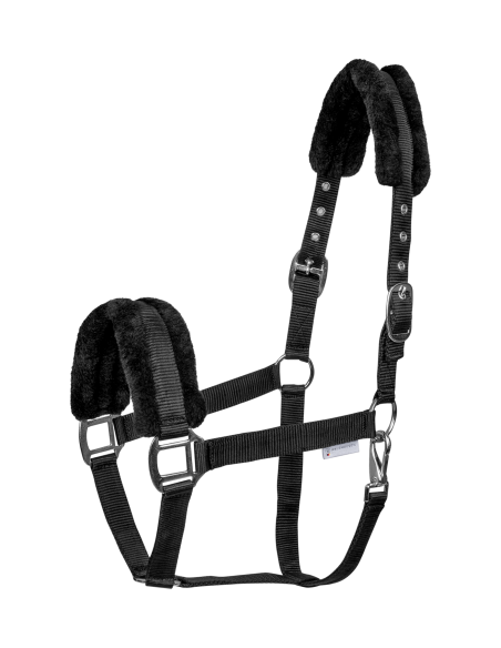 Licol First Waldhausen