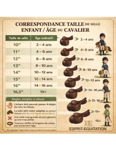 selle-educative-norton-rexine-junior 2