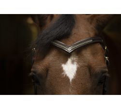 Frontal en "V" NORTON CLUB - Diamond