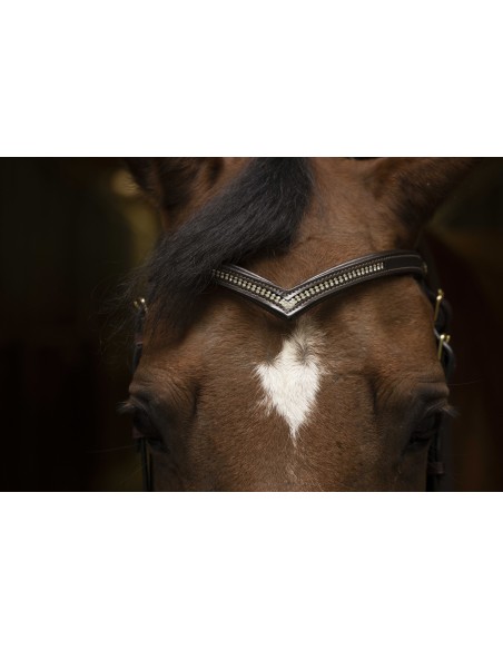 Frontal en "V" NORTON CLUB - Diamond