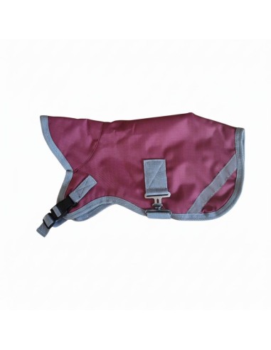 Manteau Jack Russell IRHAmbient Imperail-Riding