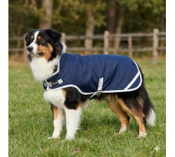 Jack Russell IRHAmbient Imperail-Riding-Mantel