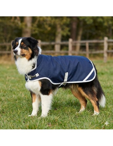 Jack Russell IRHAmbient Imperail-Riding-Mantel