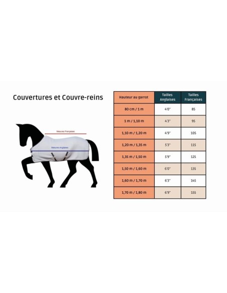 Chemise micro Jersey multi-couches Tdet