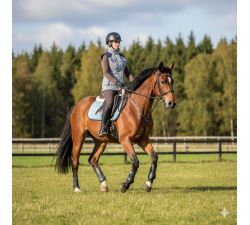 Gilet sans manche Morgan Euro Star