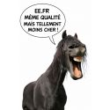 Rènes matelassés par DMH Equitation NOIR