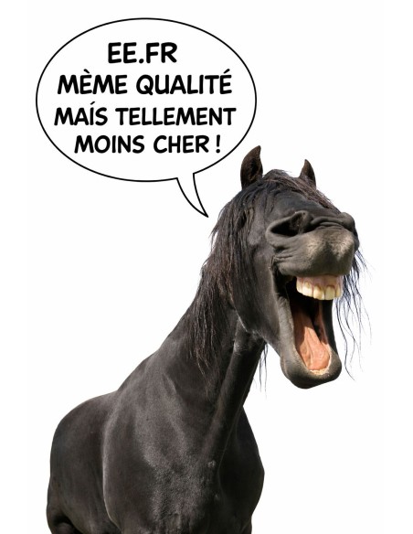 Rènes matelassés par DMH Equitation