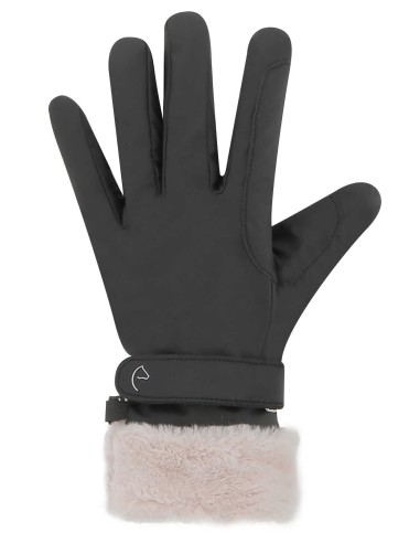 Gants hiver EQUITHÈME - Valois