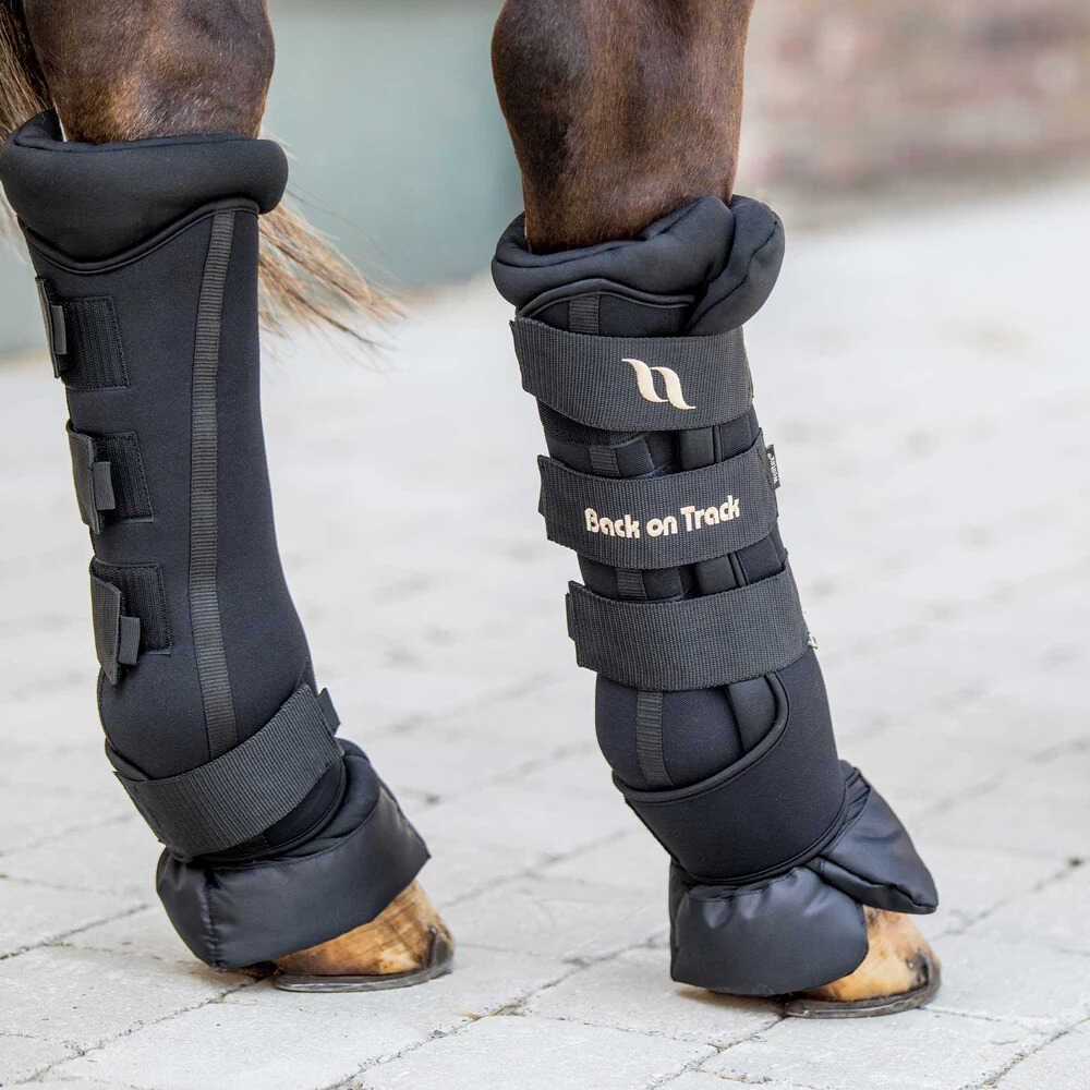 Grande paire de bottes à jarret rembourrées cheval Royal dos Grande paire de bottes à jarret rembourrées cheval Royal dos