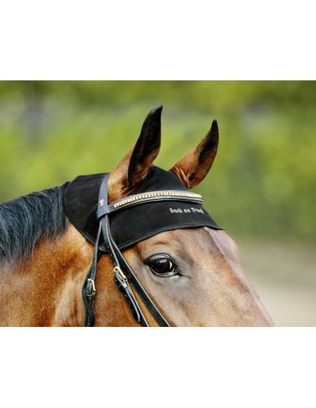Protector de cuello BACK ON TRACK