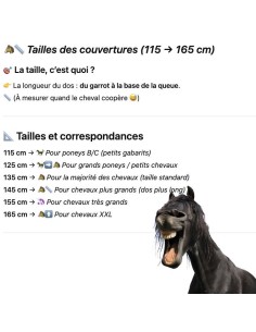 Couverture d'extérieur Chester 600D doublure Lisse 2