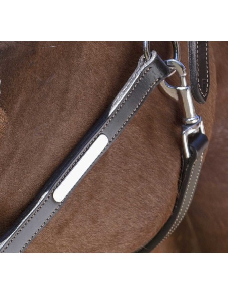 Licol cuir NORTON PRO - Grooming