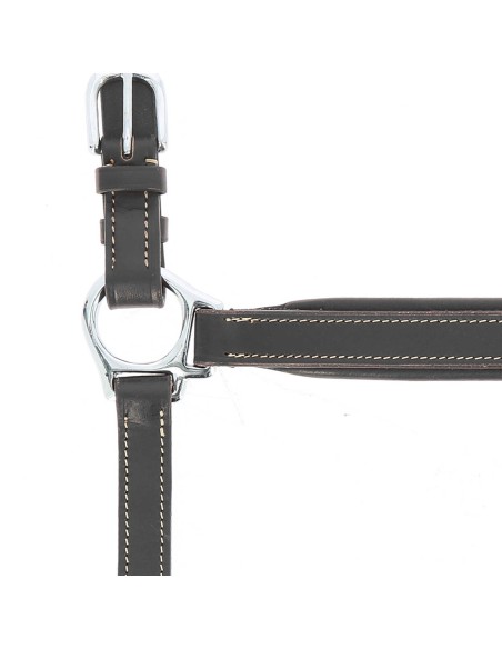 Licol cuir NORTON PRO - Grooming