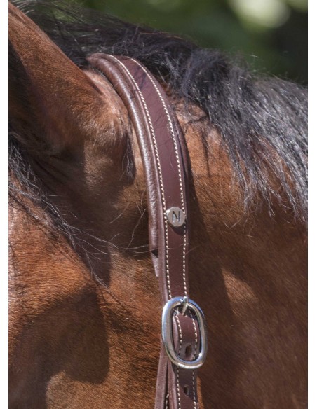 NORTON PRO Cabestro de cuero - Grooming