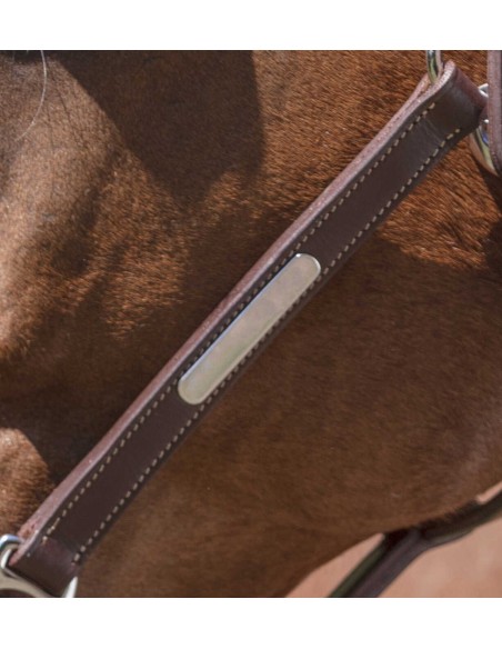 Licol cuir NORTON PRO - Grooming